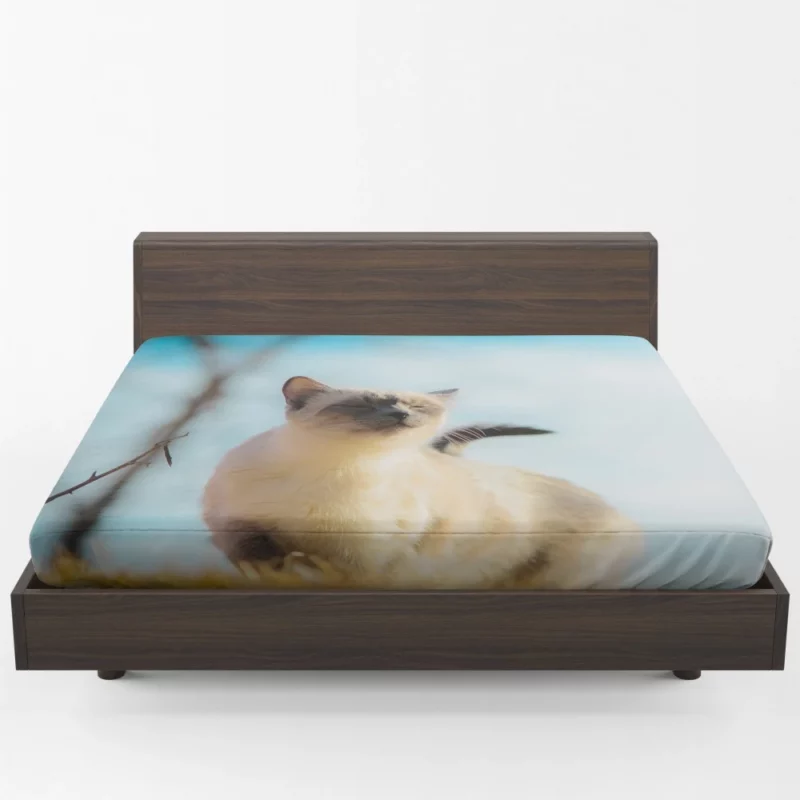 Elegance in Fur Serene Siamese Cat Fitted Sheet