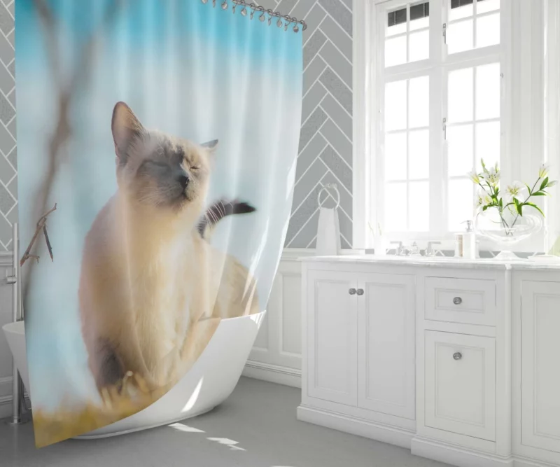 Elegance in Fur Serene Siamese Cat Shower Curtain 1