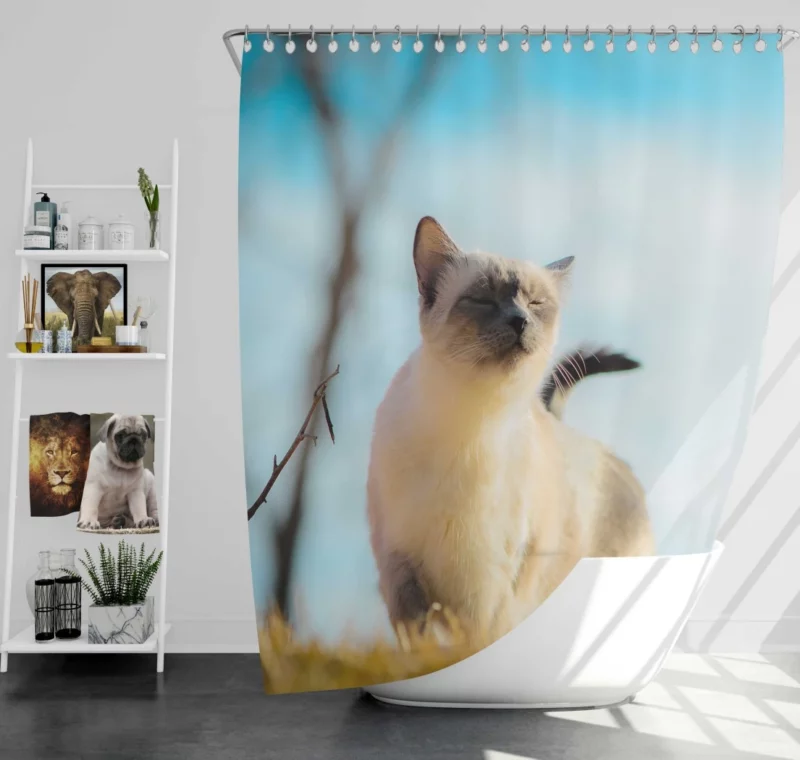 Elegance in Fur Serene Siamese Cat Shower Curtain