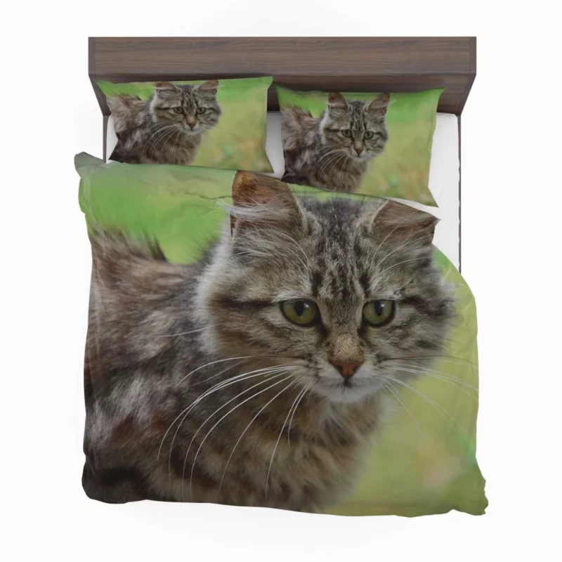 Elegant Cat Elegance Bedding Set 1