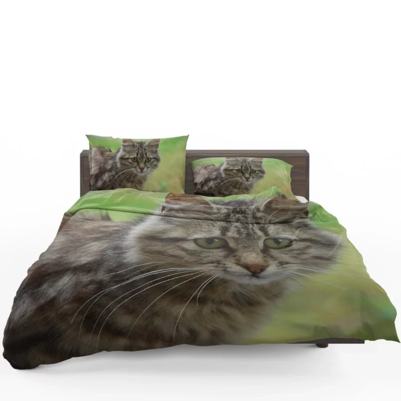 Elegant Cat Elegance Bedding Set