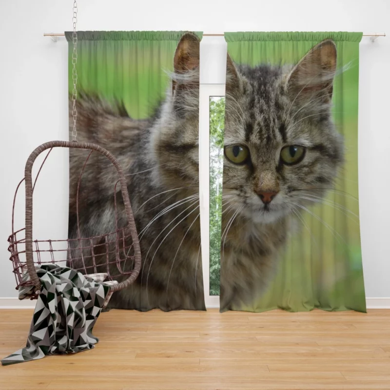 Elegant Cat Elegance Curtain