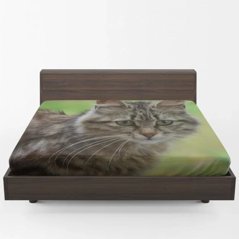 Elegant Cat Elegance Fitted Sheet