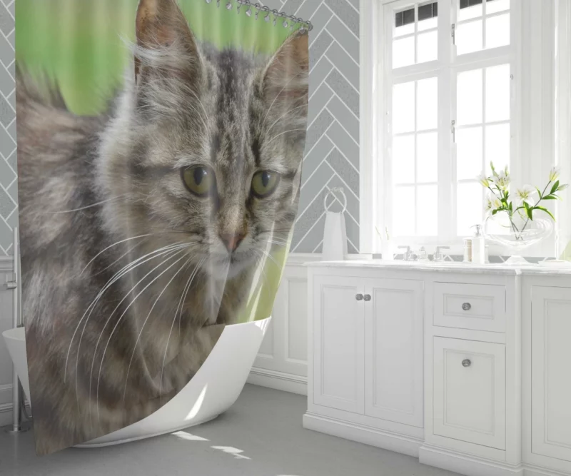 Elegant Cat Elegance Shower Curtain 1