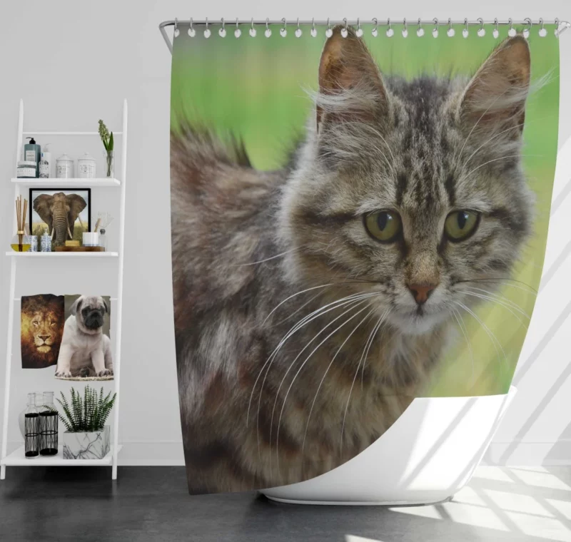 Elegant Cat Elegance Shower Curtain