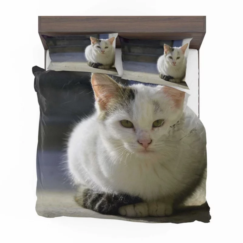 Elegant Feline Gaze Bedding Set 1