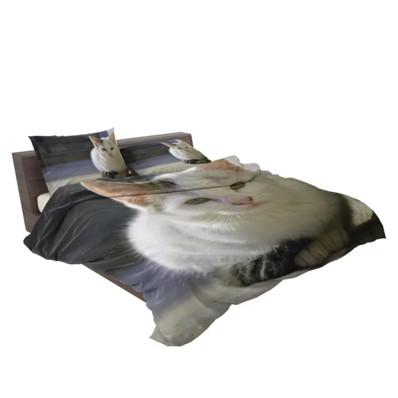 Elegant Feline Gaze Bedding Set 2