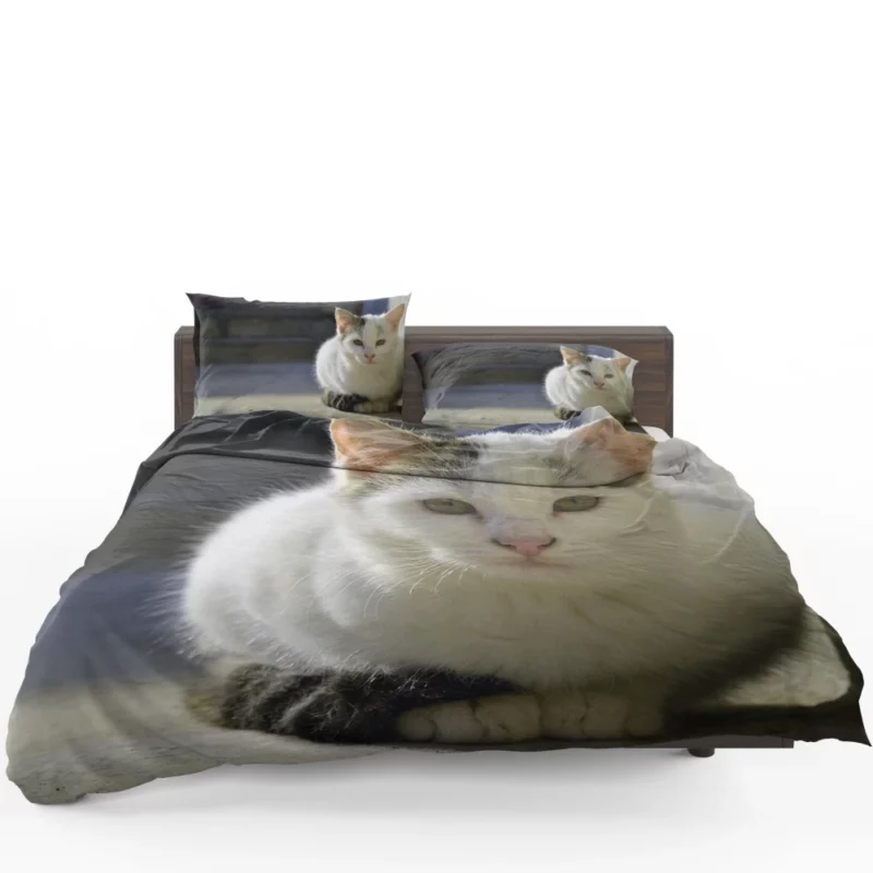 Elegant Feline Gaze Bedding Set