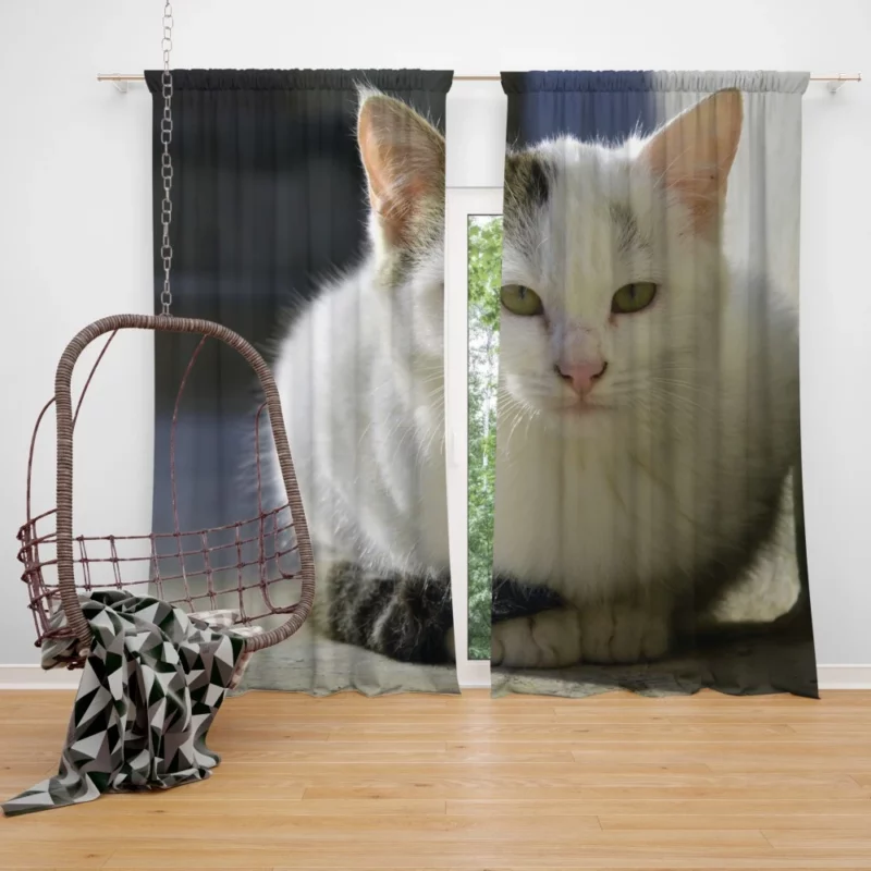 Elegant Feline Gaze Curtain