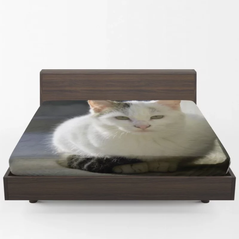 Elegant Feline Gaze Fitted Sheet