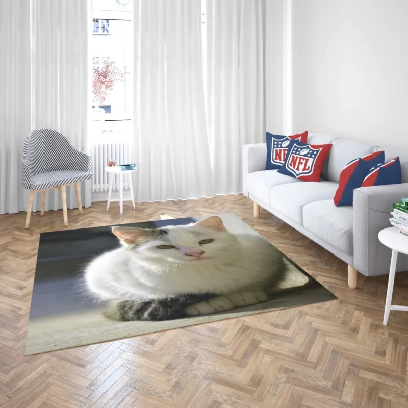 Elegant Feline Gaze Rug 2