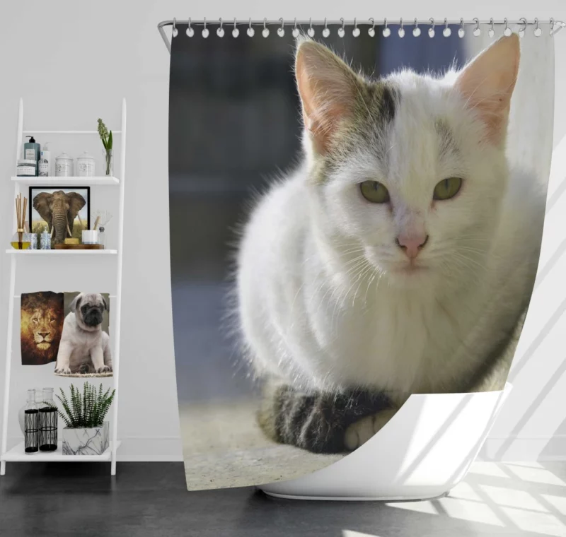 Elegant Feline Gaze Shower Curtain