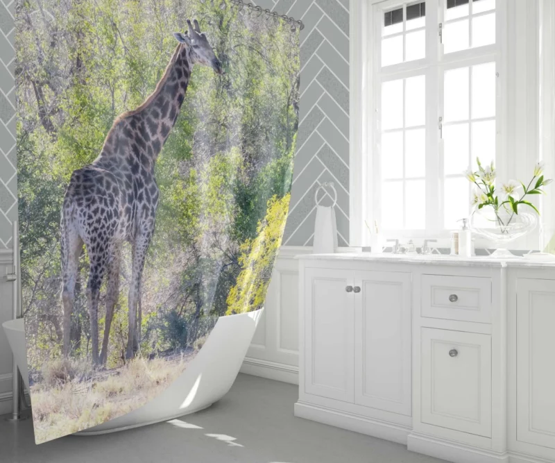 Elegant Giraffe Graceful Stance Shower Curtain 1