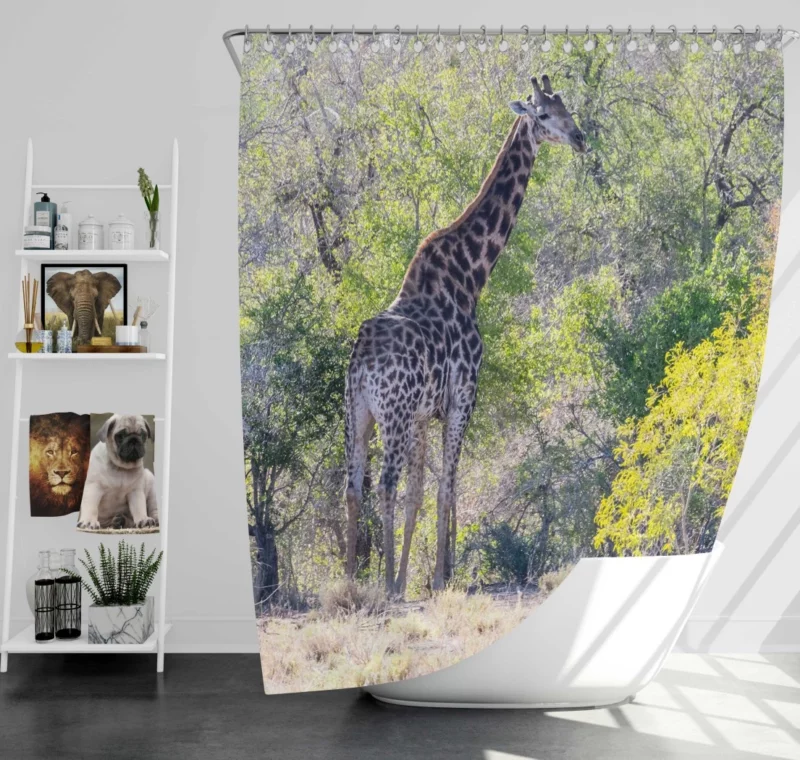 Elegant Giraffe Graceful Stance Shower Curtain