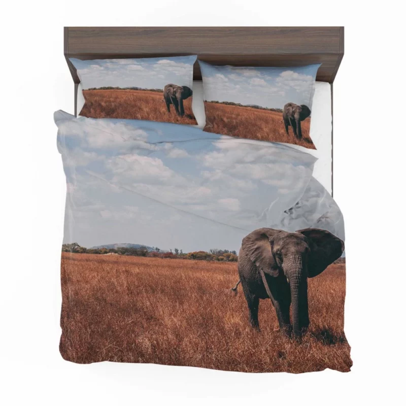 Elephant Cute Bedding Set 1