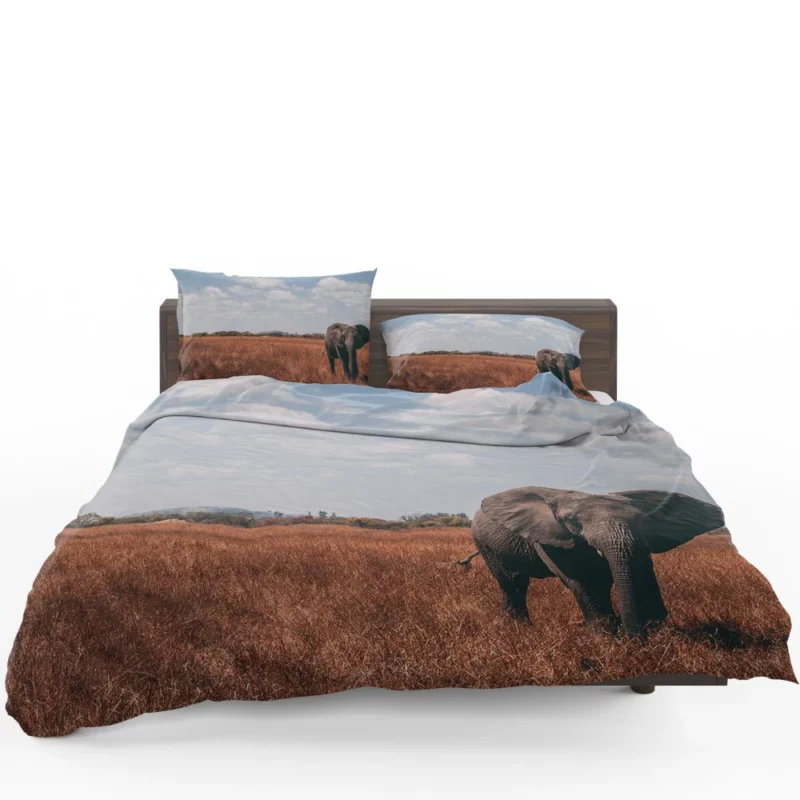 Elephant Cute Bedding Set