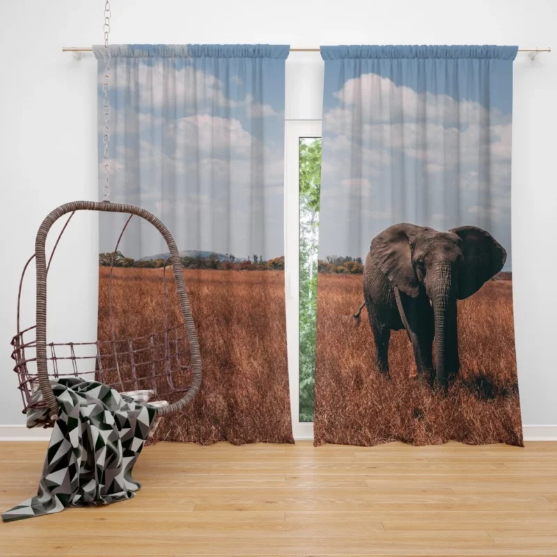 Elephant Cute Curtain