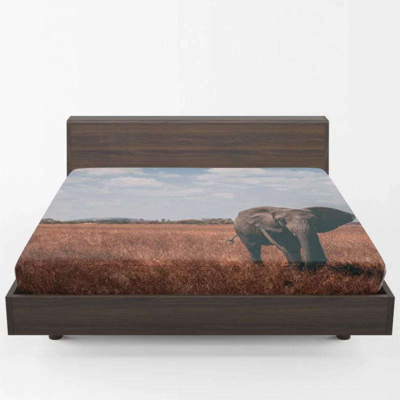 Elephant Cute Fitted Sheet