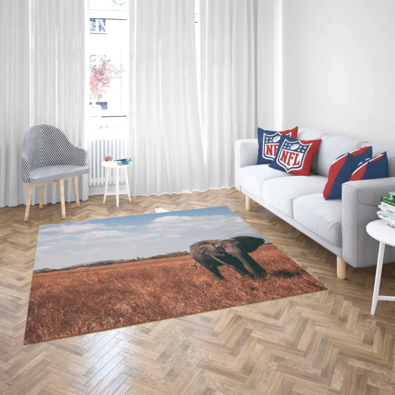 Elephant Cute Rug 2