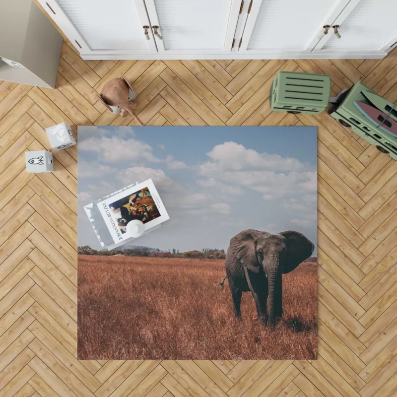 Elephant Cute Rug