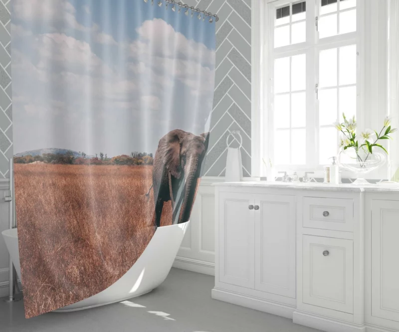 Elephant Cute Shower Curtain 1