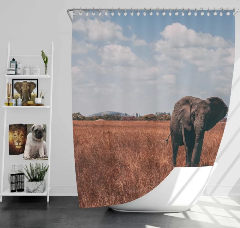 Elephant Cute Shower Curtain