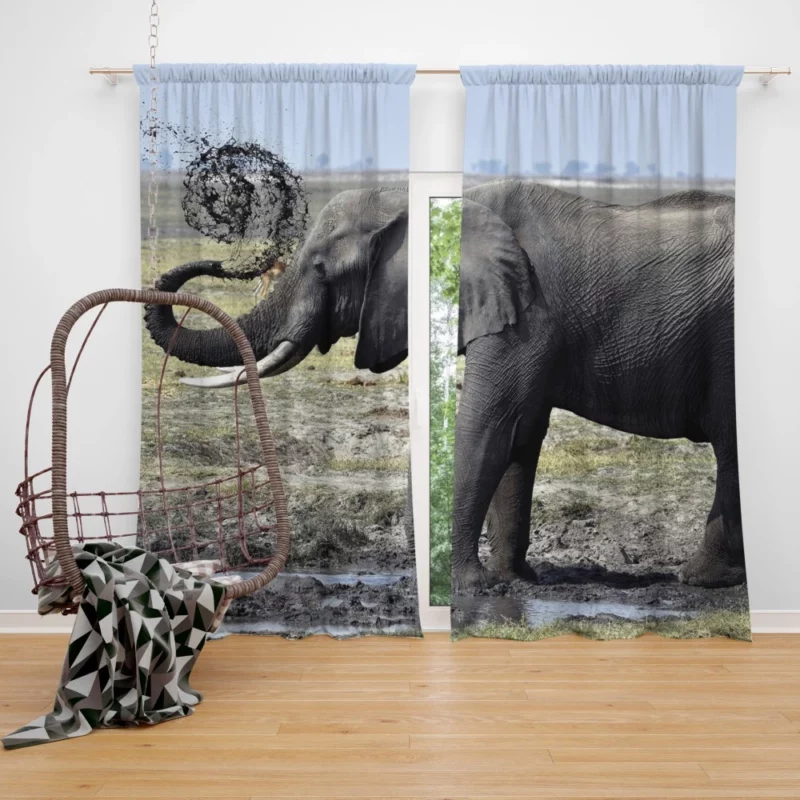 Elephant Playful Dirt Tossing Curtain