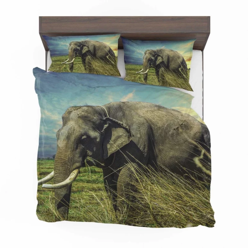 Elephant Thai Sojourn Majestic Wonder Bedding Set 1