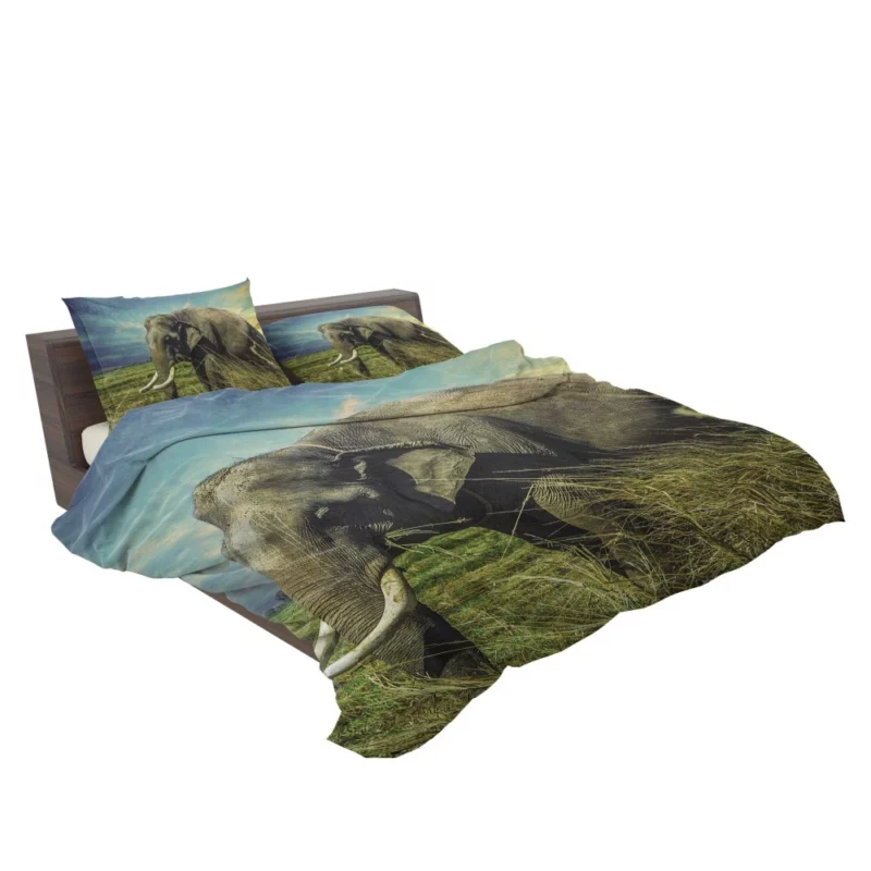 Elephant Thai Sojourn Majestic Wonder Bedding Set 2