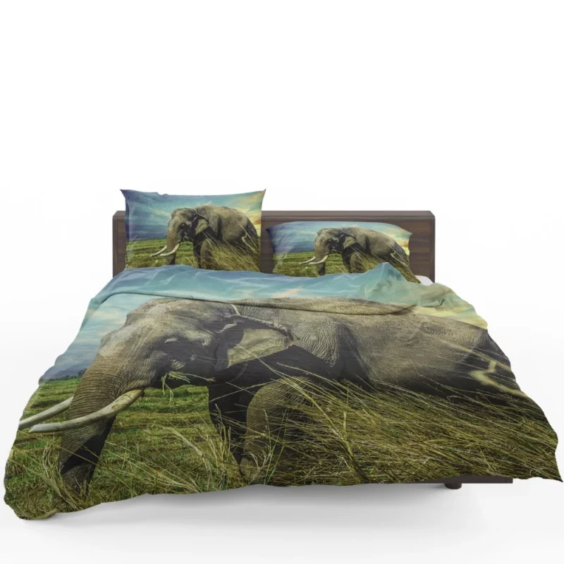 Elephant Thai Sojourn Majestic Wonder Bedding Set