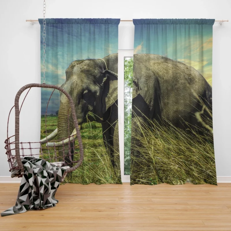 Elephant Thai Sojourn Majestic Wonder Curtain