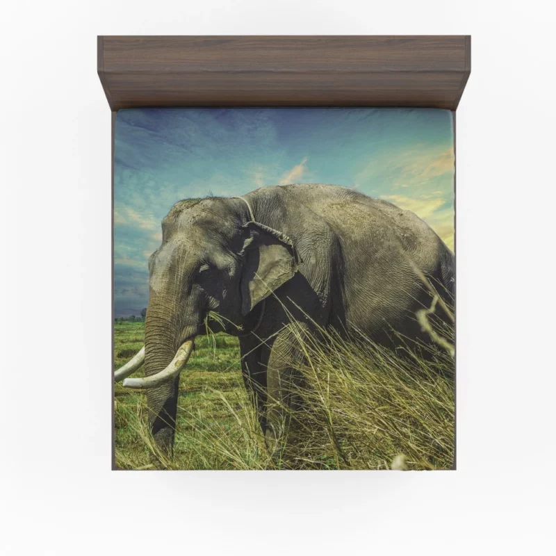 Elephant Thai Sojourn Majestic Wonder Fitted Sheet 1