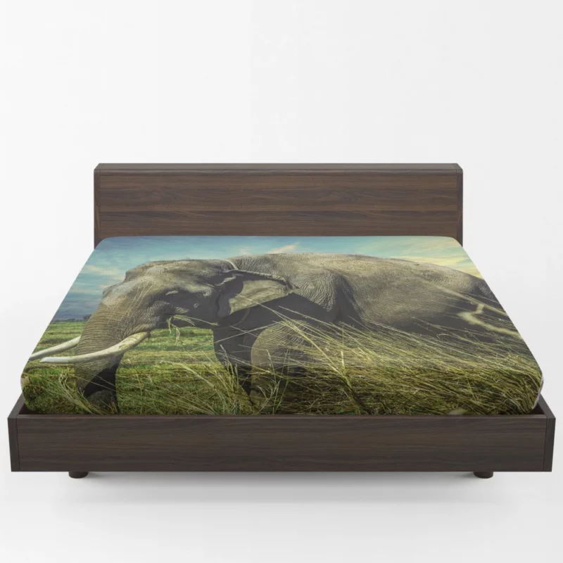 Elephant Thai Sojourn Majestic Wonder Fitted Sheet