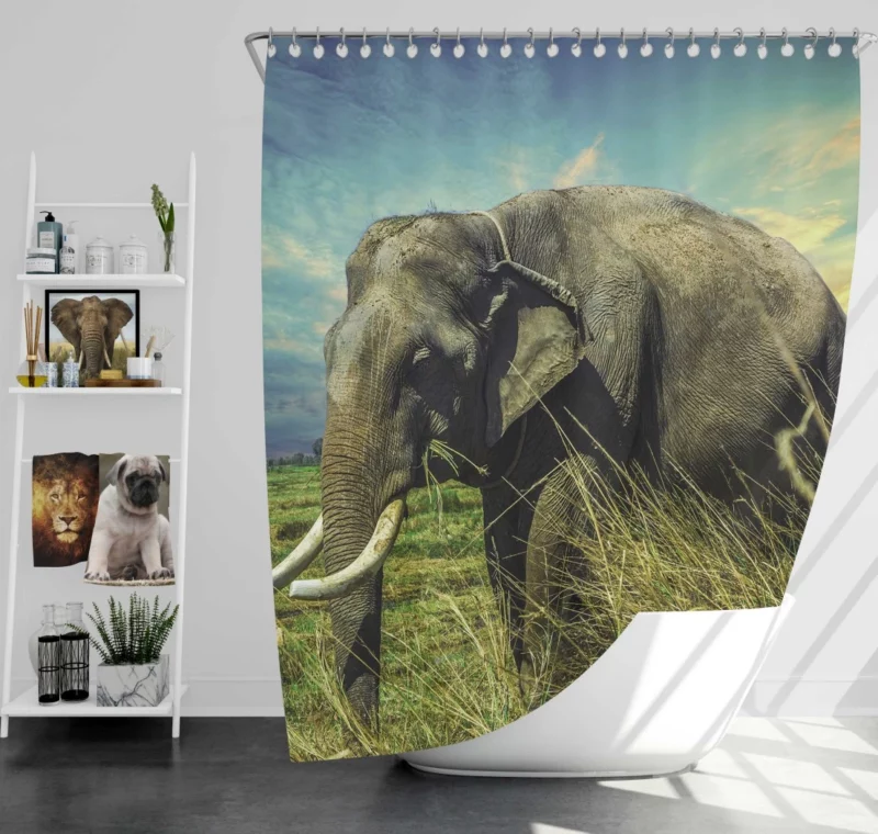 Elephant Thai Sojourn Majestic Wonder Shower Curtain