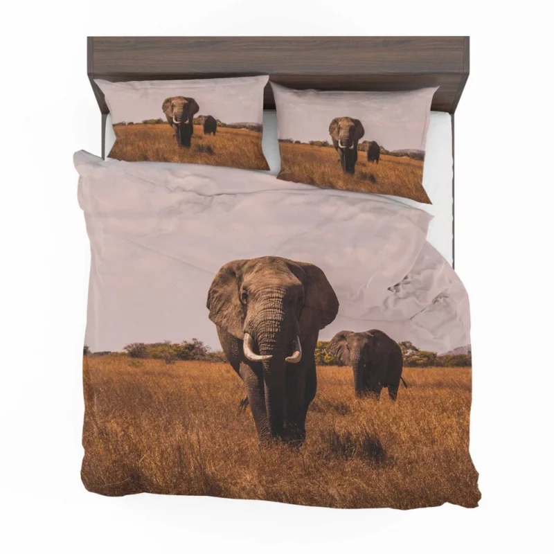 Elephant Wild Bedding Set 1