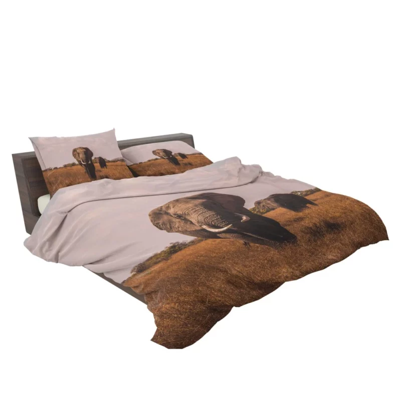 Elephant Wild Bedding Set 2