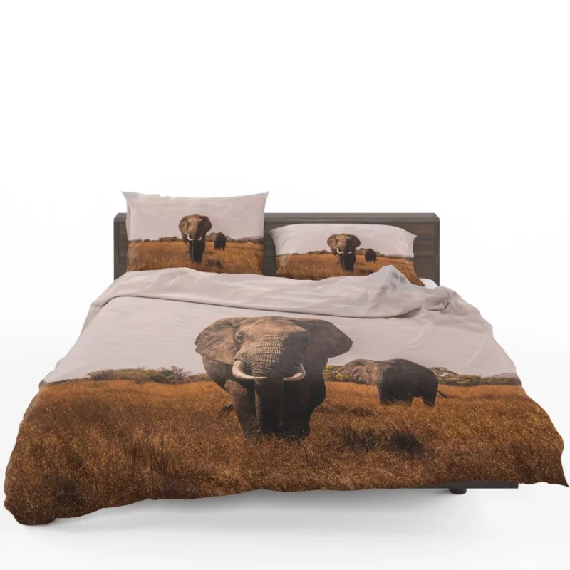 Elephant Wild Bedding Set