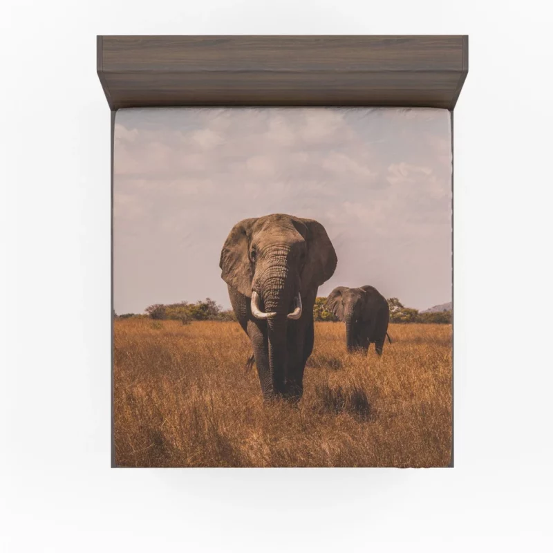 Elephant Wild Fitted Sheet 1