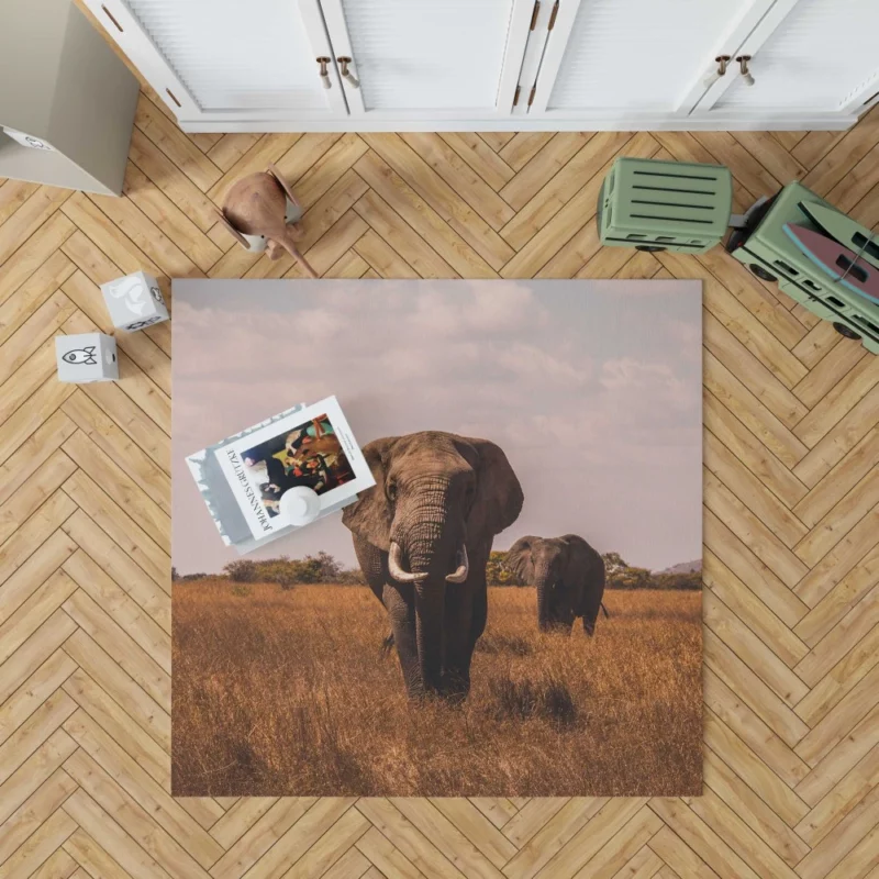 Elephant Wild Rug