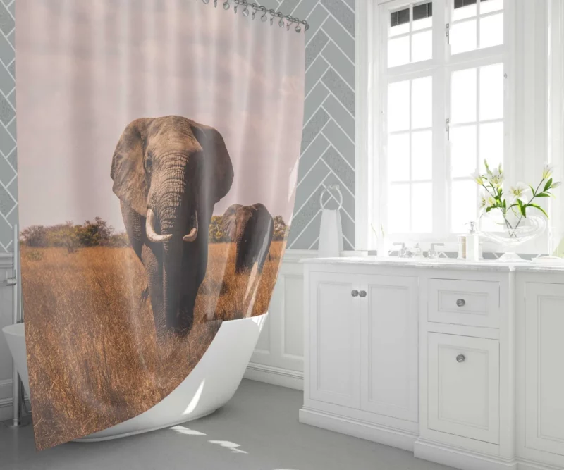 Elephant Wild Shower Curtain 1