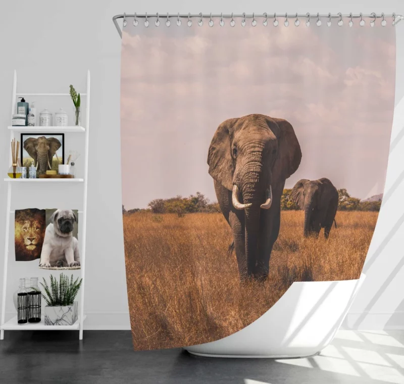 Elephant Wild Shower Curtain