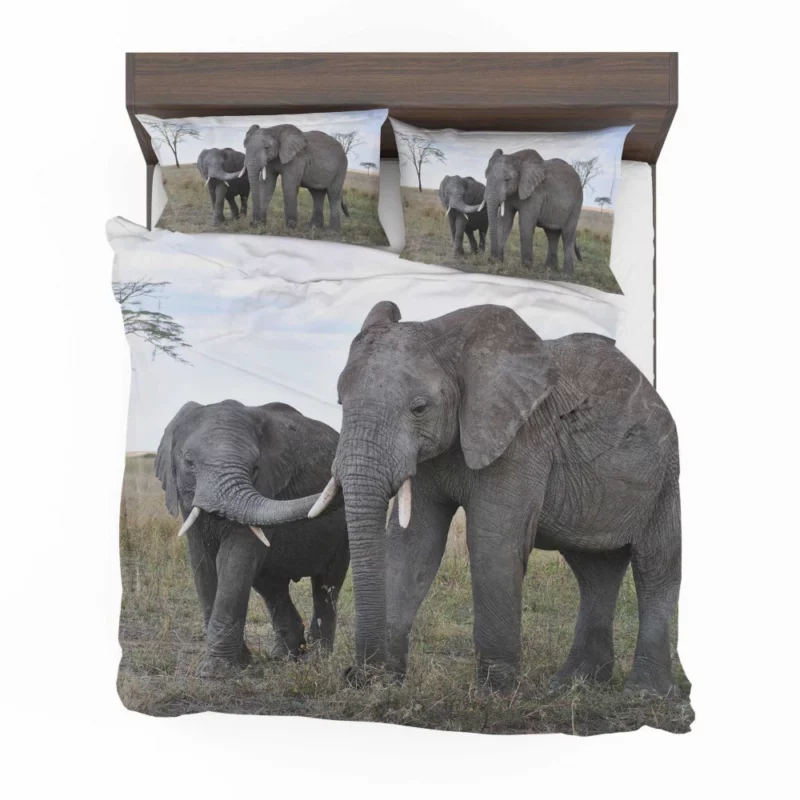 Elephants in Serengeti National Park African Majesty Bedding Set 1