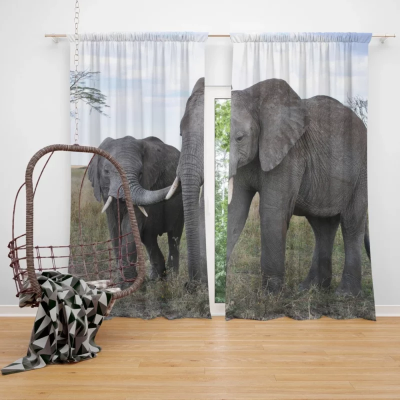 Elephants in Serengeti National Park African Majesty Curtain