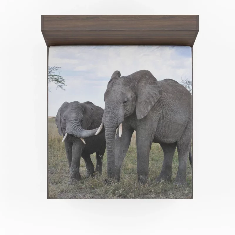 Elephants in Serengeti National Park African Majesty Fitted Sheet 1