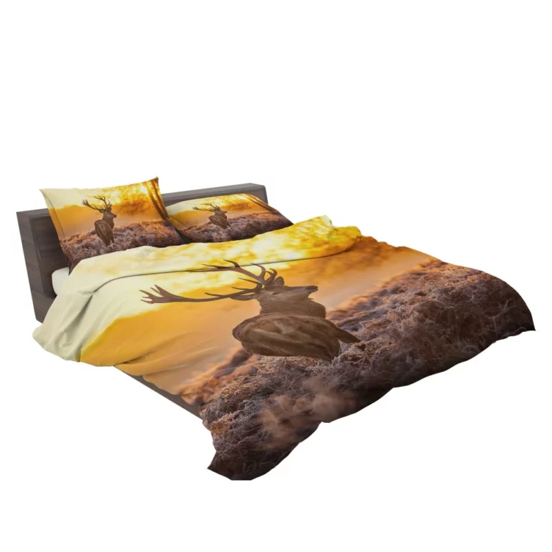 Elk Majestic Antlers Sunset Silhouette Bedding Set 2