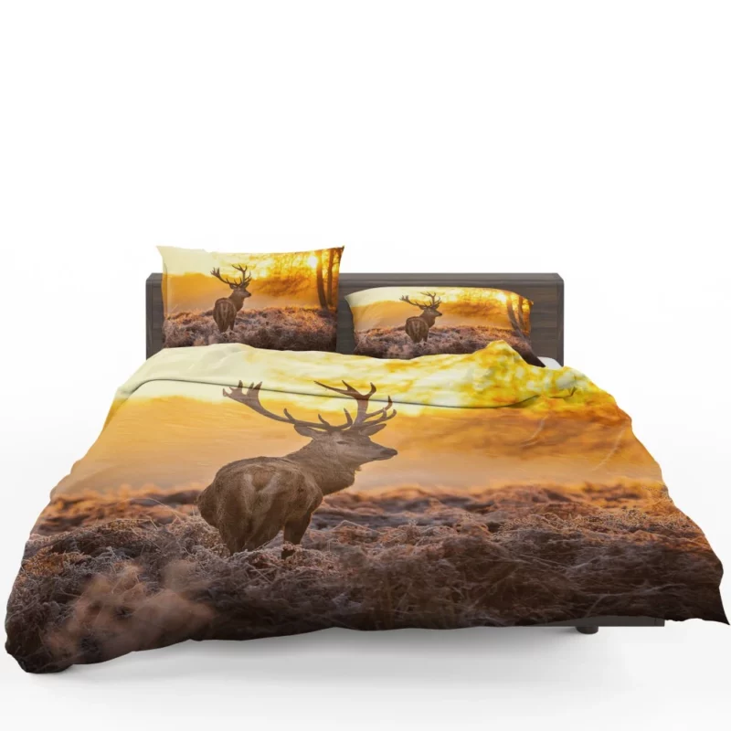 Elk Majestic Antlers Sunset Silhouette Bedding Set