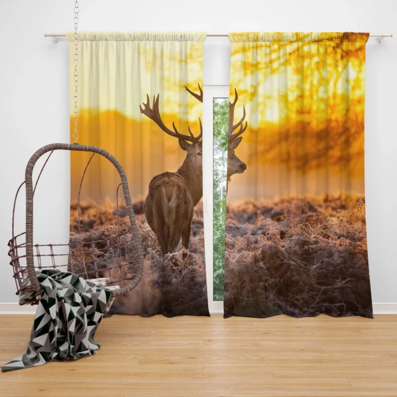 Elk Majestic Antlers Sunset Silhouette Curtain