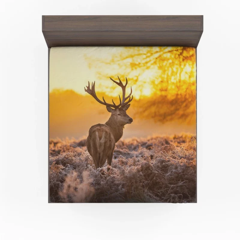 Elk Majestic Antlers Sunset Silhouette Fitted Sheet 1