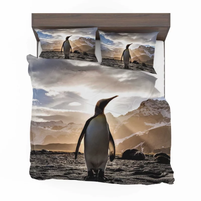 Emperor Penguin Basking in Sunbeam Bedding Set 1