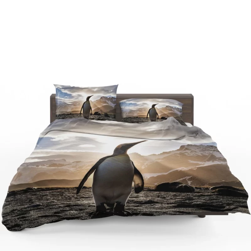 Emperor Penguin Basking in Sunbeam Bedding Set